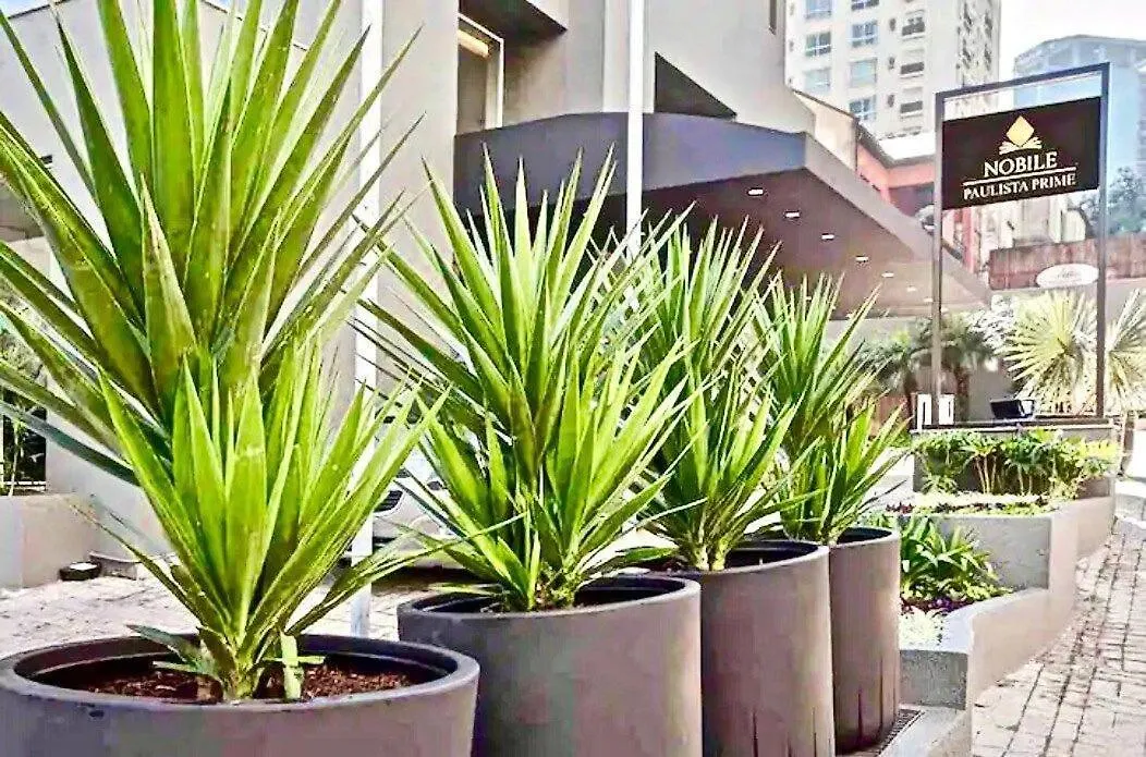 Flat Whynd Paulista Al Campinas 540 Apartamento São Paulo